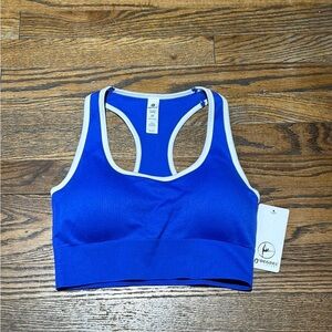 Blue Sports Bra